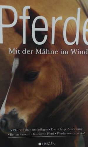 Pferde - Mit der Mähne im Wind
