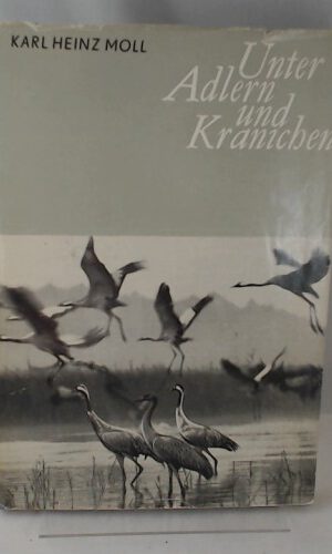 Unter Adlern und Kranichen am Grossen See