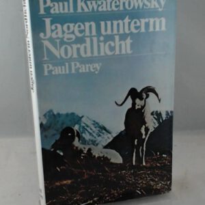 Jagen unterm Nordlicht