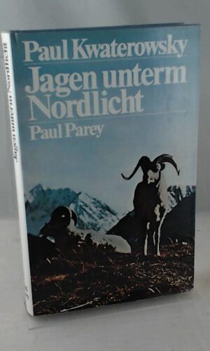 Jagen unterm Nordlicht