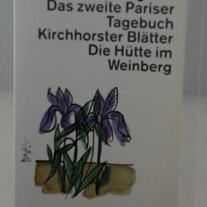 Strahlungen II: Das zweite Pariser Tagebuch. Kirchhorster Blätter. Die Hütte im Weinberg (dtv Literatur)