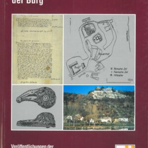 Zentrale Funktionen der Burg (Veröffentlichungen der Deutschen Burgenvereinigung: Reihe B: Schriften)