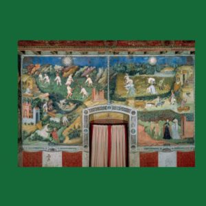 Adelskulturen auf Burgen: Kolloquium des Wissenschaftlichen Beirats der Deutschen Burgenvereinigung, Brixen 2017 (Veröffentlichungen der Deutschen Burgenvereinigung: Reihe B: Schriften)